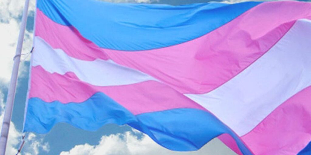 Câncer em pessoas trans: preconceito dificulta rastreio