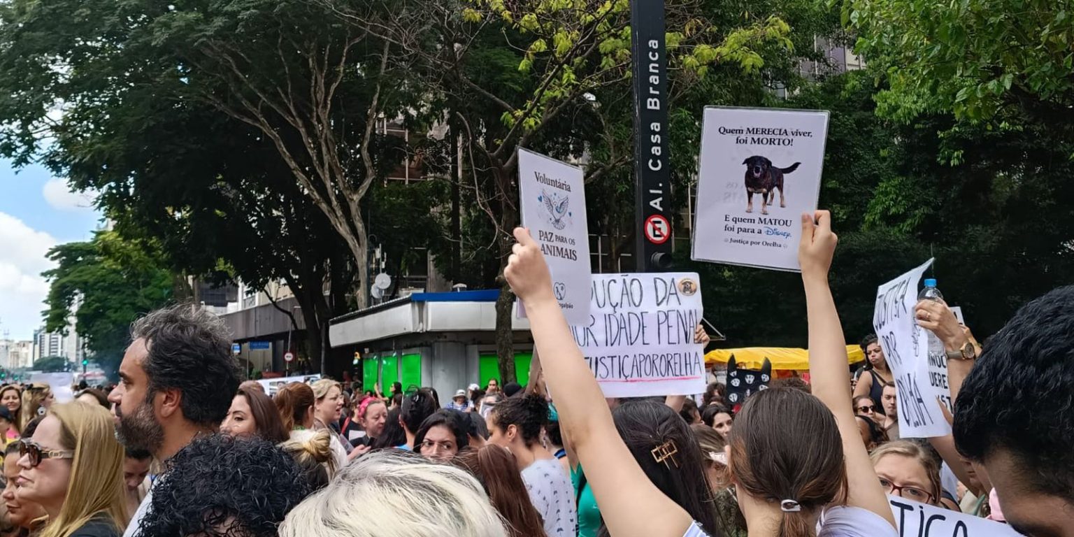 Cão Orelha: Justiça arquiva investigação a pedido do MP