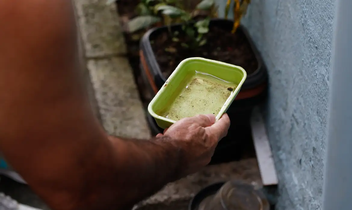 El Niño pode disparar dengue e chikungunya em 2027