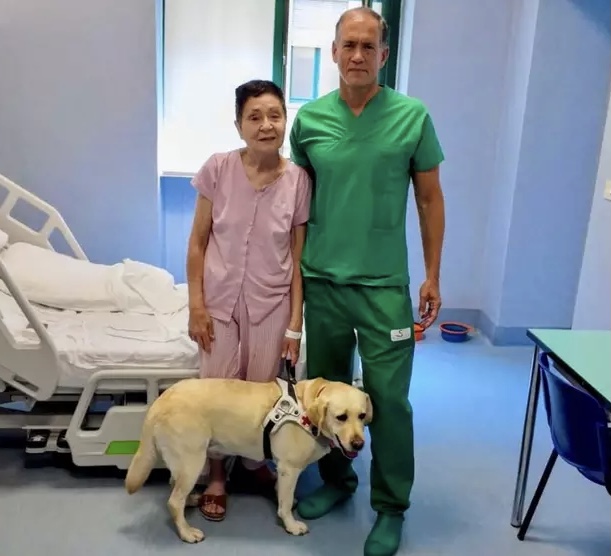 Transplante inédito da mácula devolve visão a idosa em Turim