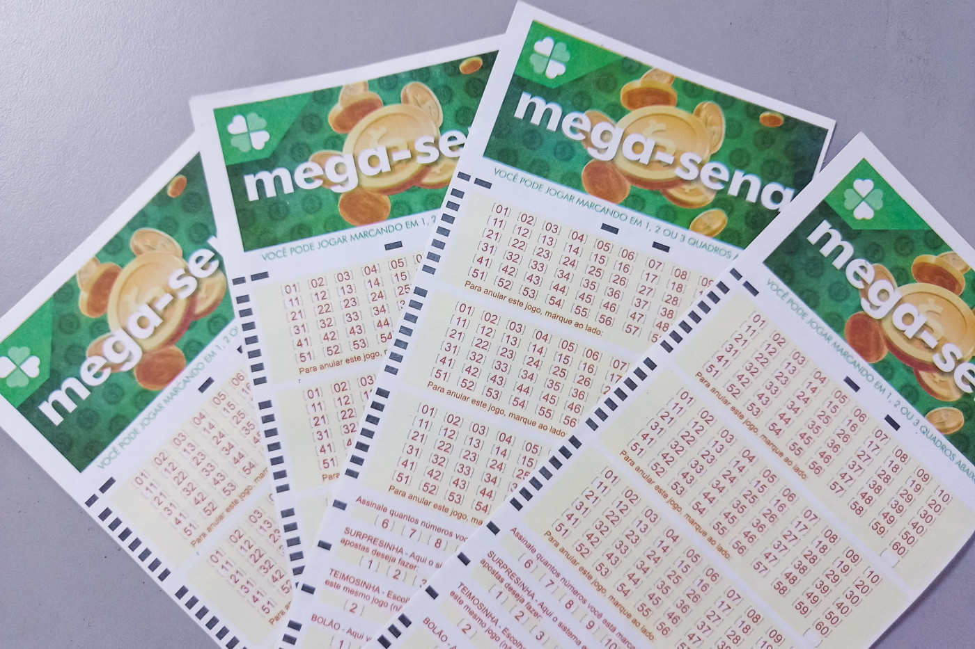 Aposta online de Blumenau acerta Mega-Sena e leva R$ 57,26 mi
