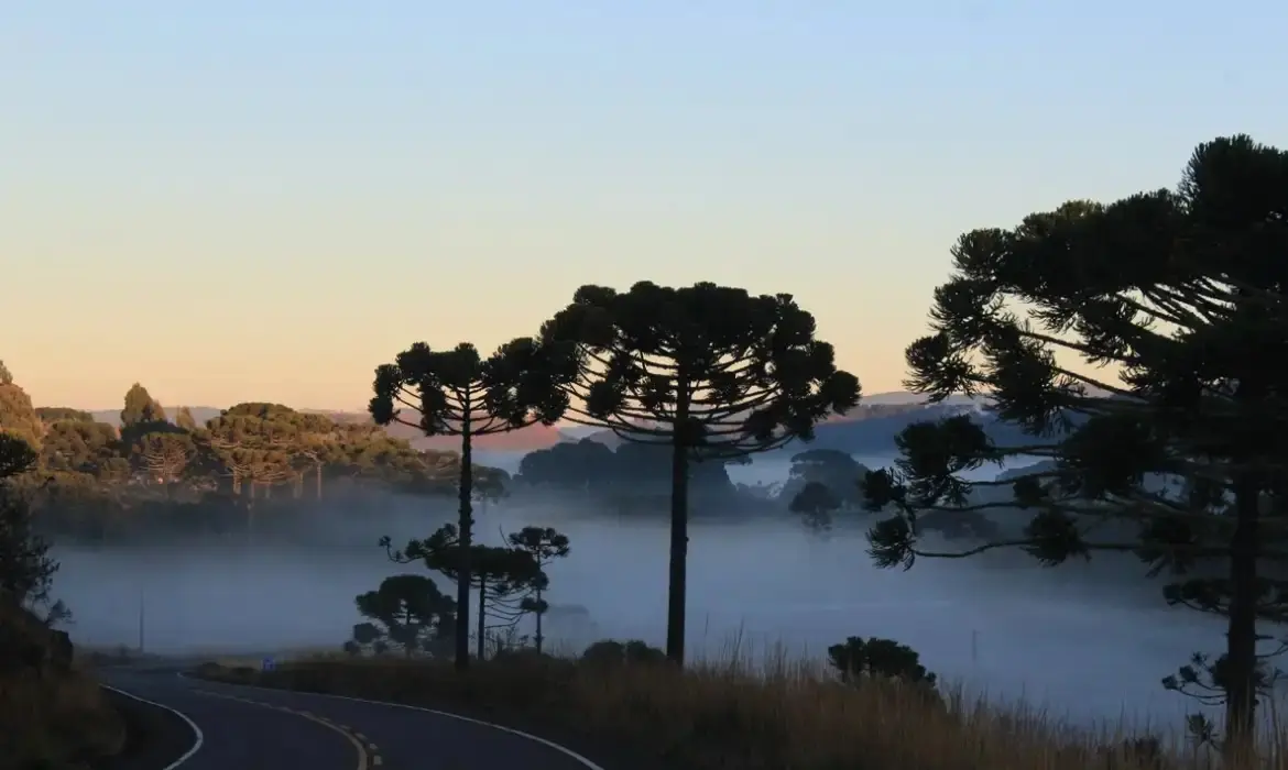 Frente fria causa geada e frio extremo com mínimas de até -6°C