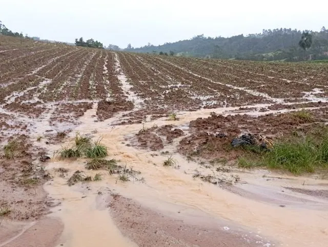 Chuvas podem adiar processamento de 35 milhões de toneladas de cana
