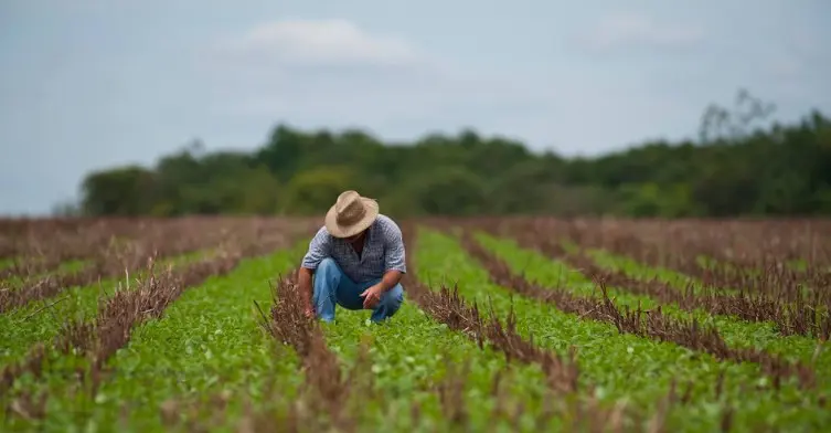 Chuvas reduzem safra em Sergipe e elevam preços de hortaliças