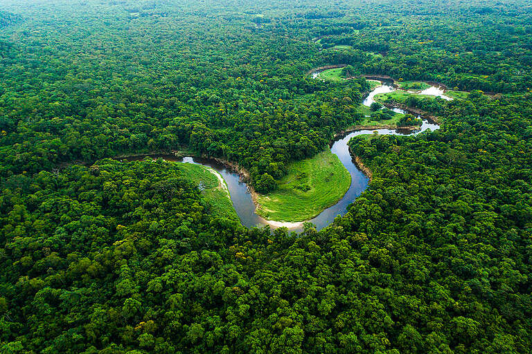 Desmatamento na Amazônia recua no terceiro mandato de Lula