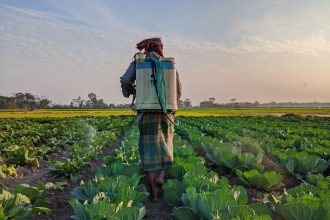 Frente do Agro elege 200 representantes e reforça influência no Congresso