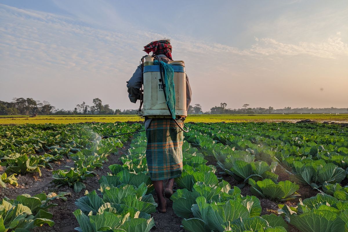 Frente do Agro elege 200 representantes e reforça influência no Congresso