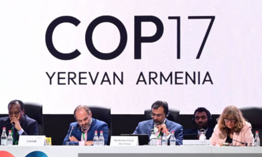 Quase 200 países aprovam acordos na COP17 para frear perda da natureza